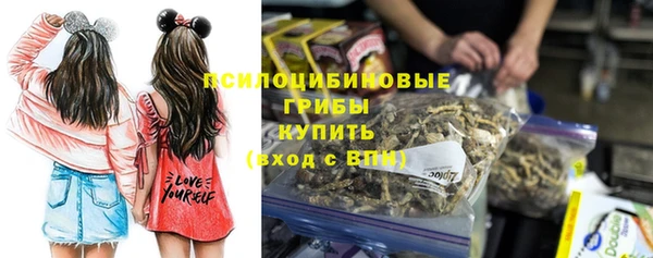 твердый Аркадак
